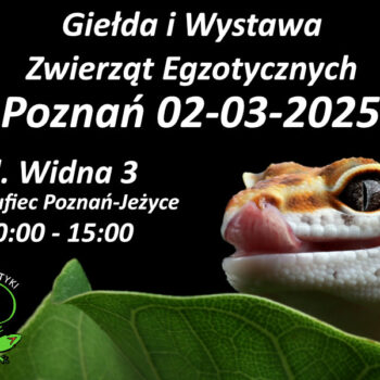 Świat Egzotyki - Poznańskie Targi Terrarystyczne i Botaniczne | Giełda i Wystawa Zwierząt Egzotycznych 02-03-2025r. Hufiec ZHP Poznań Jeżyce