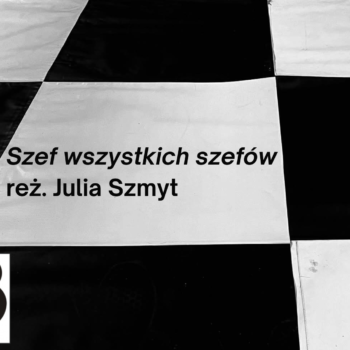Szef wszystkich szefów / reż. Julia Szmyt